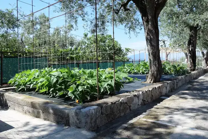 Giardino di Oasi Celeste con vista sul Vesuvio e sul Golfo di Napoli